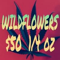 Wild Flowers Solutions Thumbnail Image