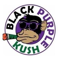 Black Purple Kush Inc Thumbnail Image
