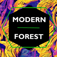 Modern Forest Thumbnail Image