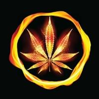 Cannabis On Fire Thumbnail Image