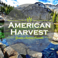 American Harvest Thumbnail Image