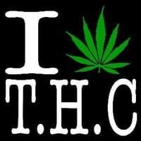 THC - The Healing Center Thumbnail Image