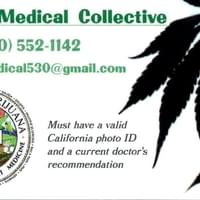 Higher Medical Collective Thumbnail Image