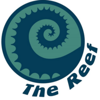 The Reef Thumbnail Image