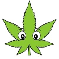 Buddies Cannabis Co. - Moore Thumbnail Image