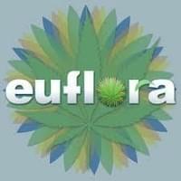 Euflora 3D Cannabis Center Thumbnail Image