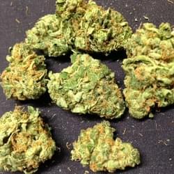 HeadBand KUSH