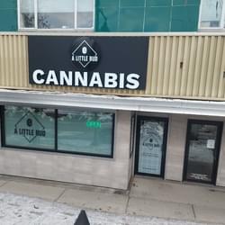 A Little Bud penticton.jpg