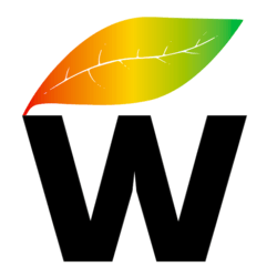 Screen Shot 2020-09-30 at 2.37.05 PM.png