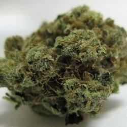 Headband O.G.