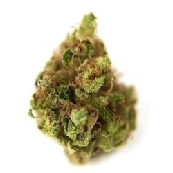 head band best pic.jpg