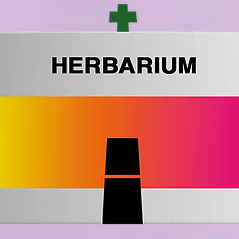 Screen Shot 2018-10-01 at 5.42.12 PM.png