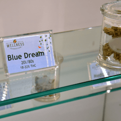 Wellness Connection of Maine Portland Dispensary Inside Image