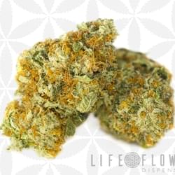 CitrusSap#5post (1).jpg