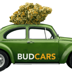 BudCar-2.png