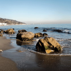 Malibu, CA Cannabis Physicians