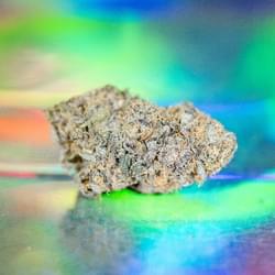 grapepie (1 of 1).jpg