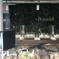 The Botanist Buffalo NY Medical Cannabis Dispensary Upstate New York Medical Marijuana Legal Weed
