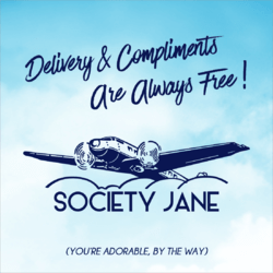 DELIVERY & COMPLIMENTS PLANE.png