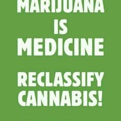 cannabis is medicine.jpg