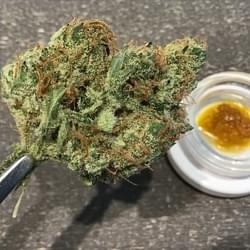 Space Goat flower with Space Goat Live Resin