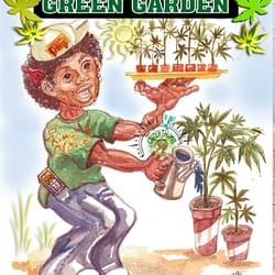 Dubsgreengarden.com
