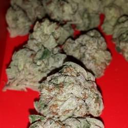 Kosher Kush up close