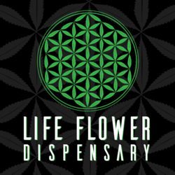 FlowerLife_FINAL LOGO.png
