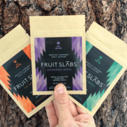 Fruit Slabs, a vegan, organic edible made of fruit leather! Fruit Roll-Ups gone grown-up!