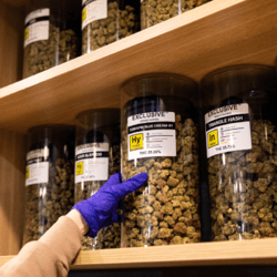 Exclusive Grand Rapids 03 RESIZED.png