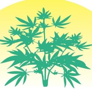 Green Valley WellnessThumbnail Image