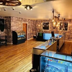 The Kind Castle - NederlandThumbnail Image