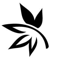 Davis Cannabis CollectiveThumbnail Image