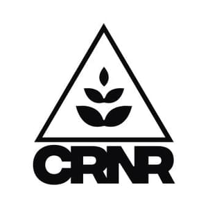 The Corner LBCThumbnail Image