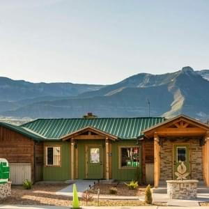 The Green Joint - ParachuteThumbnail Image