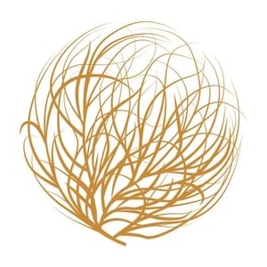 Tumbleweed - CarbondaleThumbnail Image