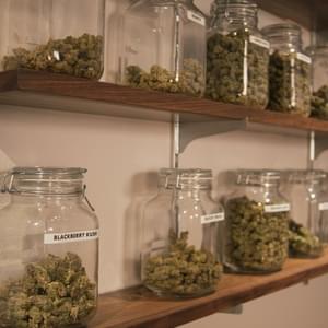 Bridge City CollectiveThumbnail Image