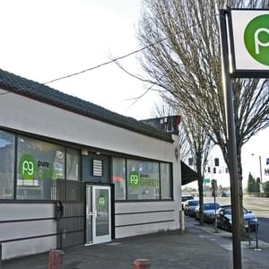 Pure GreenThumbnail Image