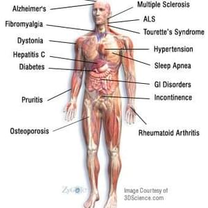 ReLeaf WellnessThumbnail Image