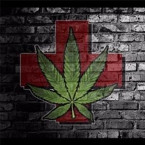 Bud JunctionThumbnail Image