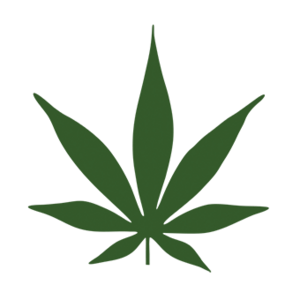 Mount Vernon CannabisThumbnail Image