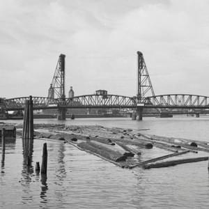 Five Zero Trees DekumThumbnail Image