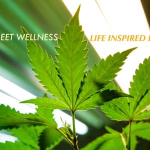 Market Street WellnessThumbnail Image