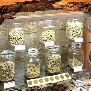 Lifted NorthwestThumbnail Image