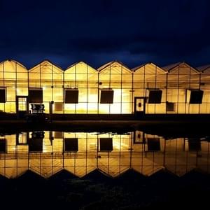 Quality Choice DispensariesThumbnail Image