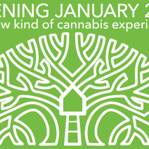 TreeHouseThumbnail Image