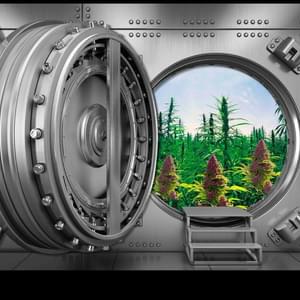 The Mint Dispensary - MesaThumbnail Image