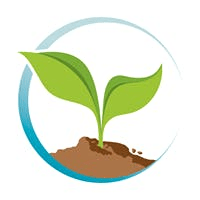 Safe AlternativesThumbnail Image