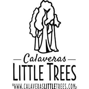 Calaveras Little TreesThumbnail Image