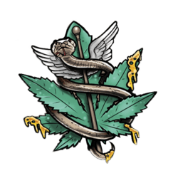 Green BuffaloThumbnail Image